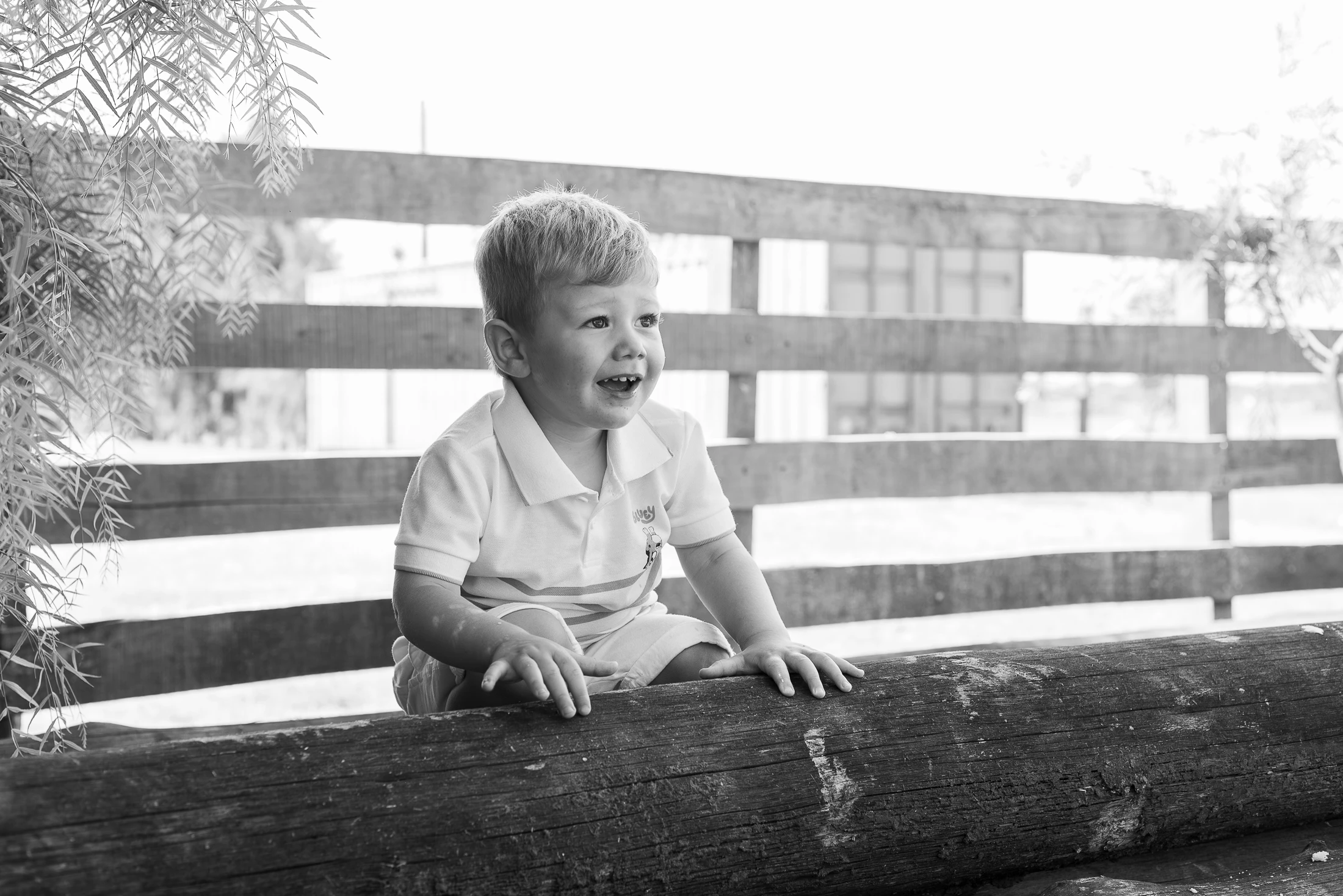 Alfonso, fotografía 13 de 32